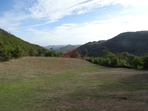 Moradia Rústica e Terreno!