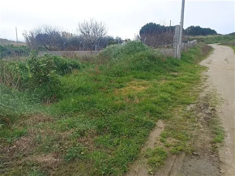 Lotissement de terrain