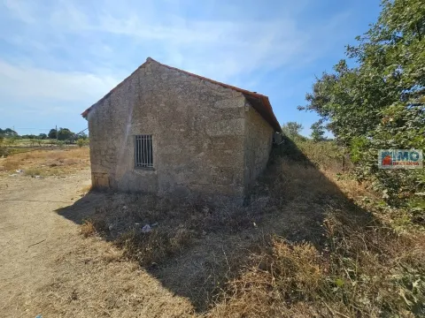 Fattoria / Cascina / Casale 3 Vani
