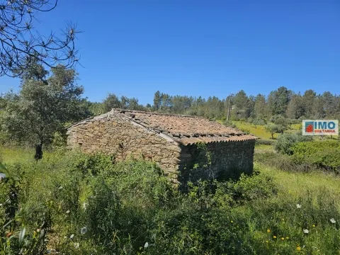 Quinta em Amarelos - 15 min. Castelo Branco