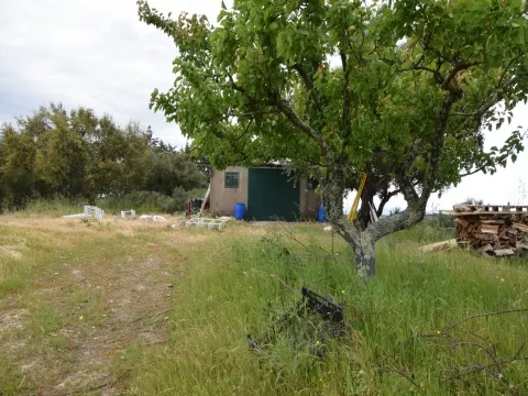 Fattoria / Cascina / Casale