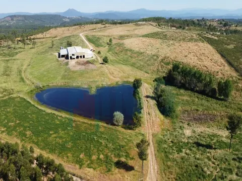 Fattoria/Azienda Agricola