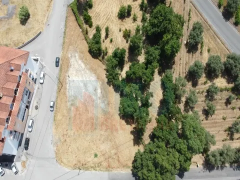 Terreno per Costruzione