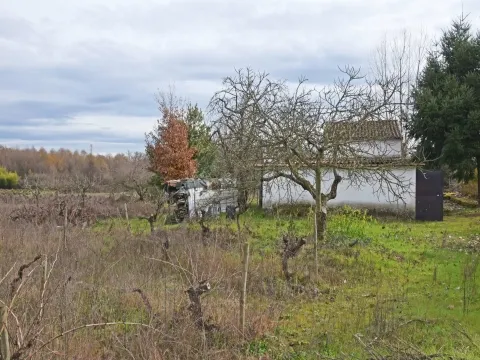 Fattoria / Cascina / Casale 3 Vani