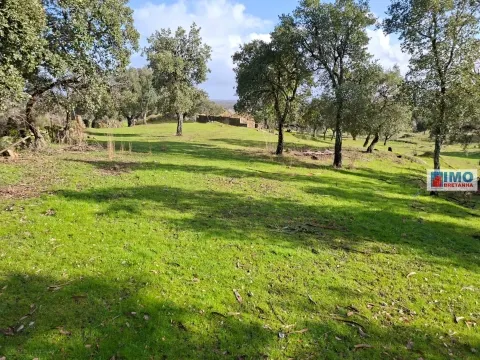 Quinta com ruína em São Miguel D´Acha