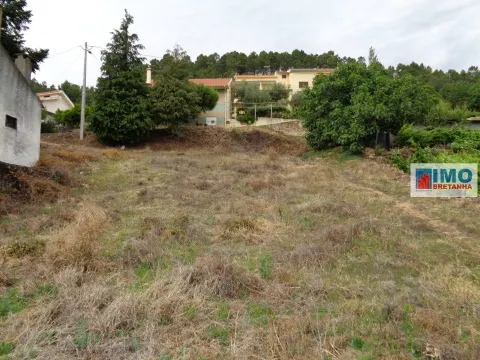 Detached house to restore