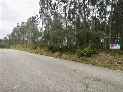 Terreno c/ possibilidade de Construção | 2542 m² | Vila Nova de Poiares