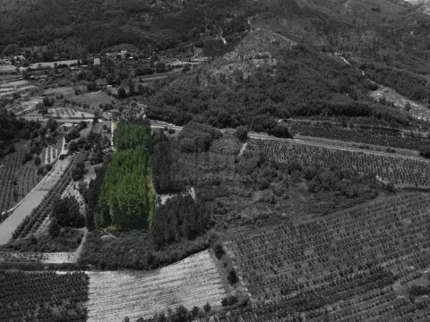 Terreno Rústico c/ 5.629 m² em Aldeia do Souto – Covilhã