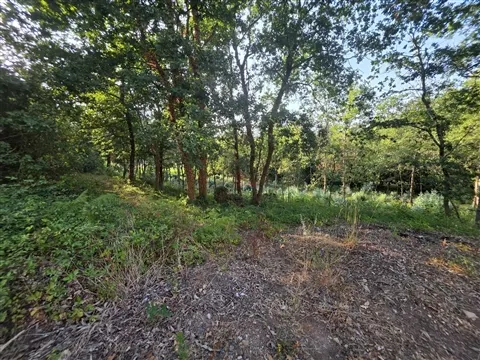 Terreno para Construção com 2.967m2 em Agrela, Santo Tirso