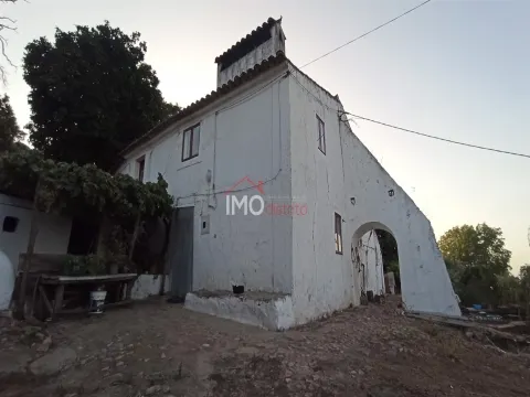 Quinta T4