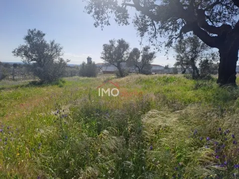 Terreno Para Construção