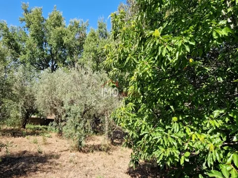 Terreno Para Construção
