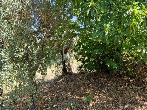 Terreno Para Construção