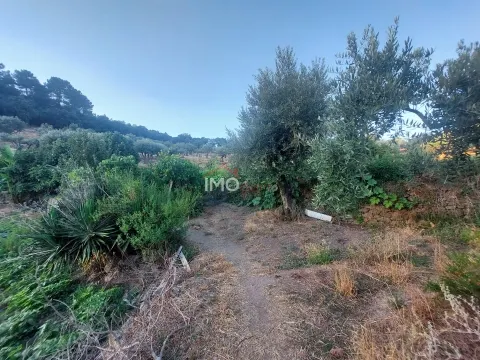 Landbesitz 3 Schlafzimmer
