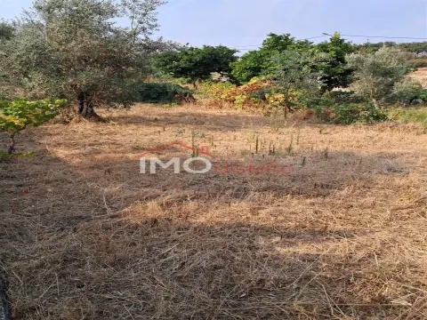 Малая ферма T3+2