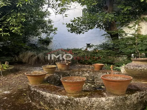 img_16