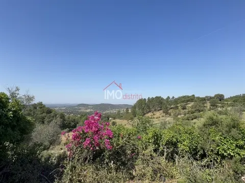 Rustico Terreno