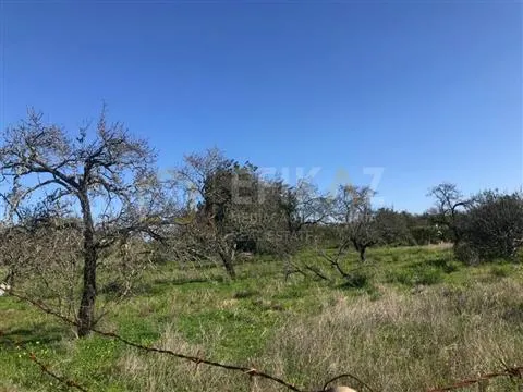Terreno Para Construção