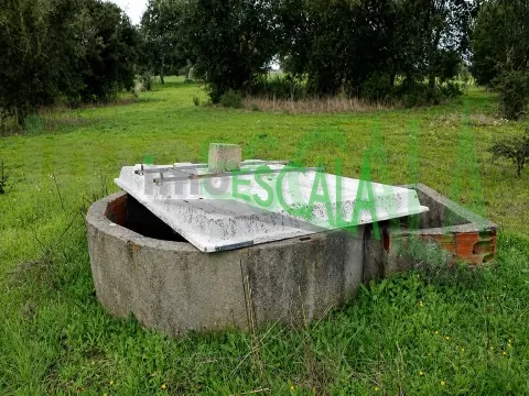 Terreno em Benavente para fins industriais ou agrícolas