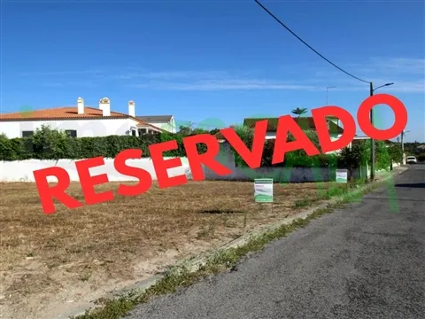 Stå
