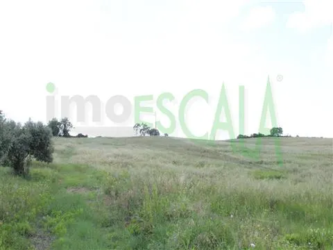 Real Estate building