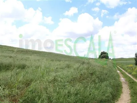 Real Estate building