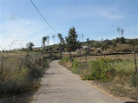 Quinta 2ha Oliveira do Hospital 