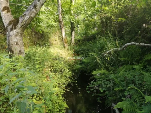 Quinta Sandomil - 30.340m2