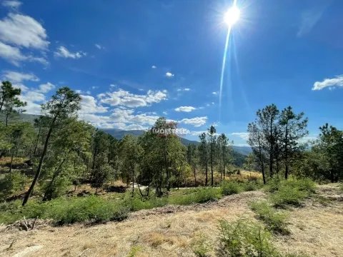 Propriedade Sr.ª Desterro - Cabeça Da Velha