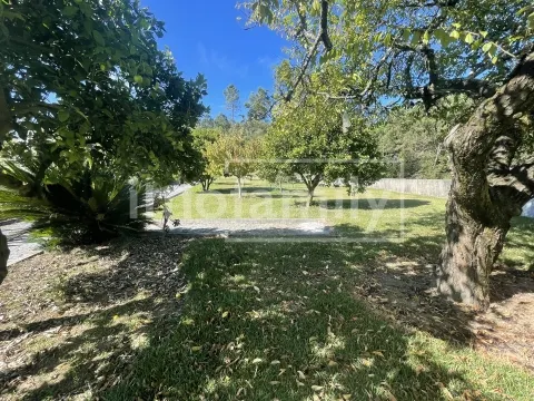 Moradia T4 em Infantas