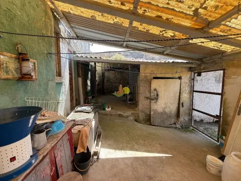 &#1042; &#1094;&#1077;&#1085;&#1090;&#1088;&#1077; &#1052;&#1072;&#1081;&#1086;&#1088;&#1082;&#1080;