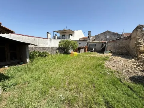 &#1042; &#1094;&#1077;&#1085;&#1090;&#1088;&#1077; &#1052;&#1072;&#1081;&#1086;&#1088;&#1082;&#1080;