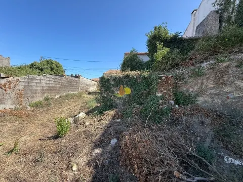 Para Reconstrução Total