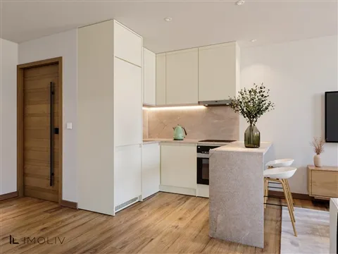 Wohnung 0+1/2 Schlafzimmer