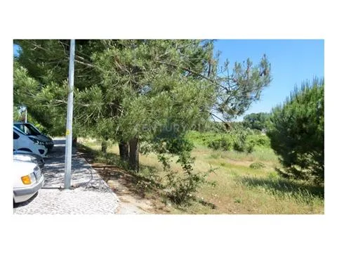 Lote de Terreno com 333m2, localizado em Pegões. 