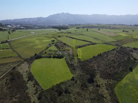 Terreno Rústico com Vista Mar e Serra – Sintra