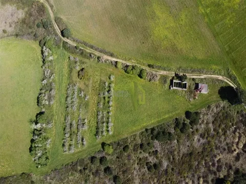 Terreno Rústico com Vista Mar e Serra – Sintra