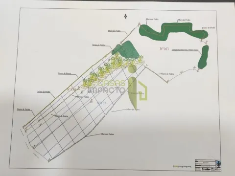 Terreno Rústico com 19.160m2 a venda na Terrugem