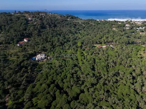 Terreno Rústico com 4.600 m2 em Areais, Almoçageme - Colares