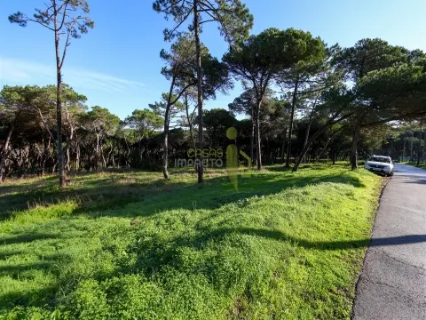 Terreno Rústico com 4.600 m2 em Areais, Almoçageme - Colares
