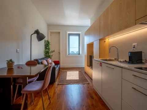 Appartement 0 Chambre(s)+1