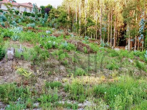 Terreno Para Construção