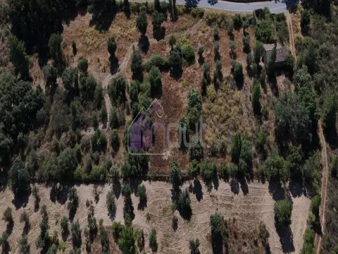 &#127807; Terreno Rústico com Palheiro, Poço e Árvores de Fruto – Bemposta &#124; 27.000&#8239;€ &#127807;