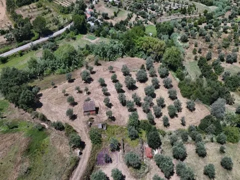 Rustico Terreno
