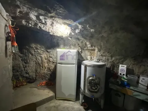 Moradia Espaçosa com Sótão, Garagem, Anexos e Terreno com Oliveiras