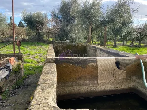 Armazém com Terreno de 2.000 m², Poço, Furo e Piscina – Aldeia da Lousa