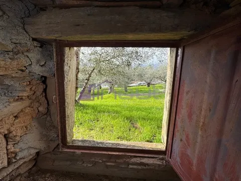 Ruína com Potencial para Reconstrução em Sarzedas – 24 m²