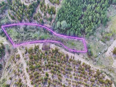 Terreno Rústico com Água Própria e Natureza Autêntica em Maxiais – O Refúgio Perfeito no Coração de