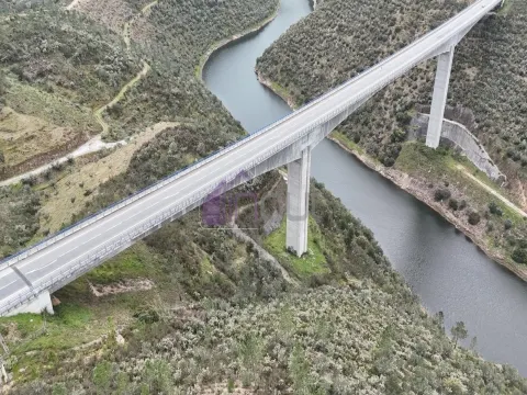 Terreno Rústico com 4.640m² Confinante com o Rio Ocreza – Natureza e Privacidade em Proença-a-Nova