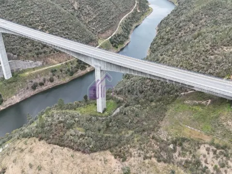 Terreno Rústico com 4.640m² Confinante com o Rio Ocreza – Natureza e Privacidade em Proença-a-Nova